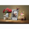 Lit Butterfly Rose Display, , large