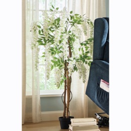 White Wisteria Tree, , large