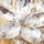 Clear Goldtone