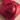 Rosette Faux-Pearl Earrings, Red, swatch