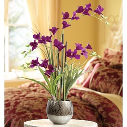 Home Decor Accents Modern Accessories Midnight Velvet Purple Orchid Arrangement