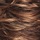 Medium Dark Brown Honey Blonde Copper Blonde