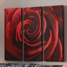 3-pc. Close-Up Rose Wall Art Set, , large