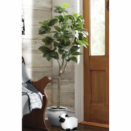 Everyday Faux Rubber Tree, , large