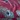 Peacock Feather Microfiber Sheet Set, Berry, swatch