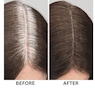 Root Color Extender, , large