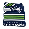 NFL Raschel Plush Throw Blanket, , large