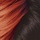 Dark Burgundy Wine