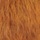 Redfox