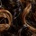 Dark Brown Auburn