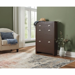 Blount Shoe Storage Cabinet, , large