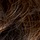 Dark Brown Auburn