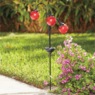 3 Orb Solar Light Stake, Red, large