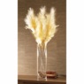 Set of 3 Lit Faux Pampas Grass, , large