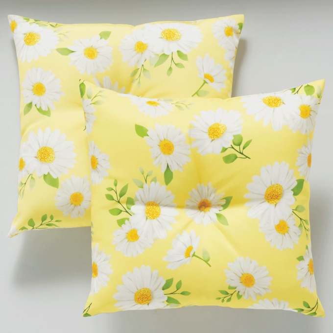 Set of 2 Pillows, , large