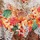 Orange Brown Multi