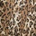Leopard Print