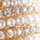 Goldtone
