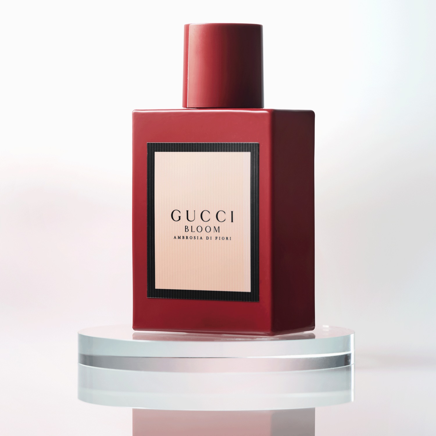 Gucci Bloom Ambrosia di Fiori Intense for Her | Midnight Velvet
