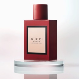 Gucci Bloom Ambrosia di Fiori Intense for Her | Midnight Velvet