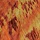 Animal Golden Tie Dye