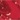 Ivy Glam Active Set, Salsa Red, swatch