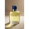 Dolce&Gabbana Pour Homme EDT Spray, , large