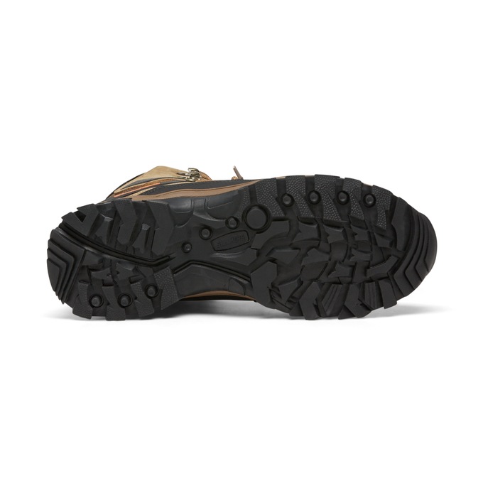 skechers norwood Transportation and Logistics Company News