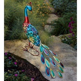 Solar Peacock, , large