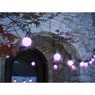 25' Solar String Lights, , large
