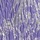Purple Silver Multi
