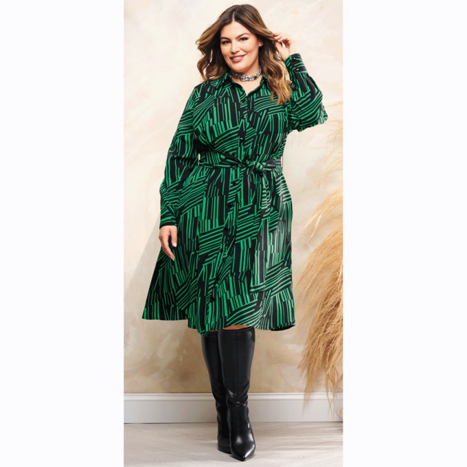 Bold A-Line Shirt Dress, , large