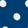 Navy White