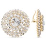 &quot;Neicey Never&quot; Clip Earrings, , large