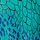 Teal Multi