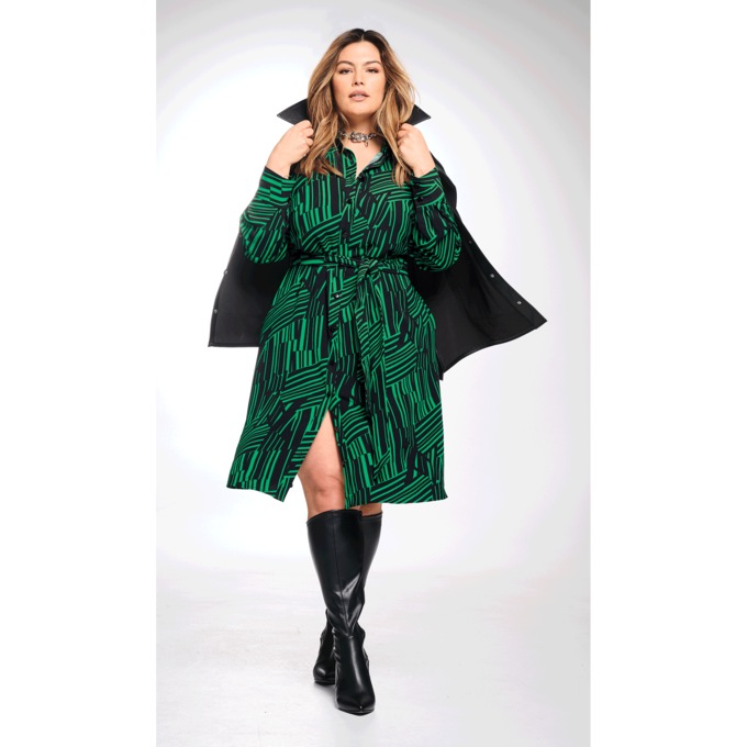 Bold A-Line Shirt Dress, , large