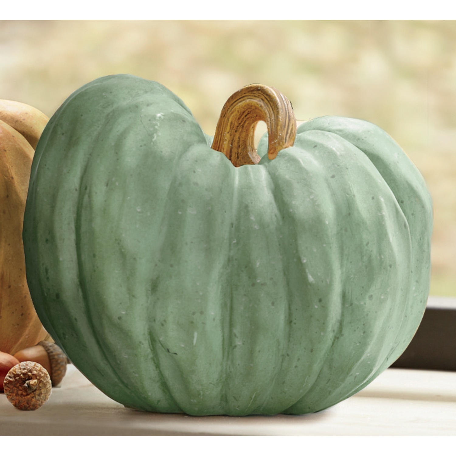 Carved Pumpkin | Midnight Velvet