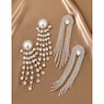 Crystal Fringe Earrings, , large