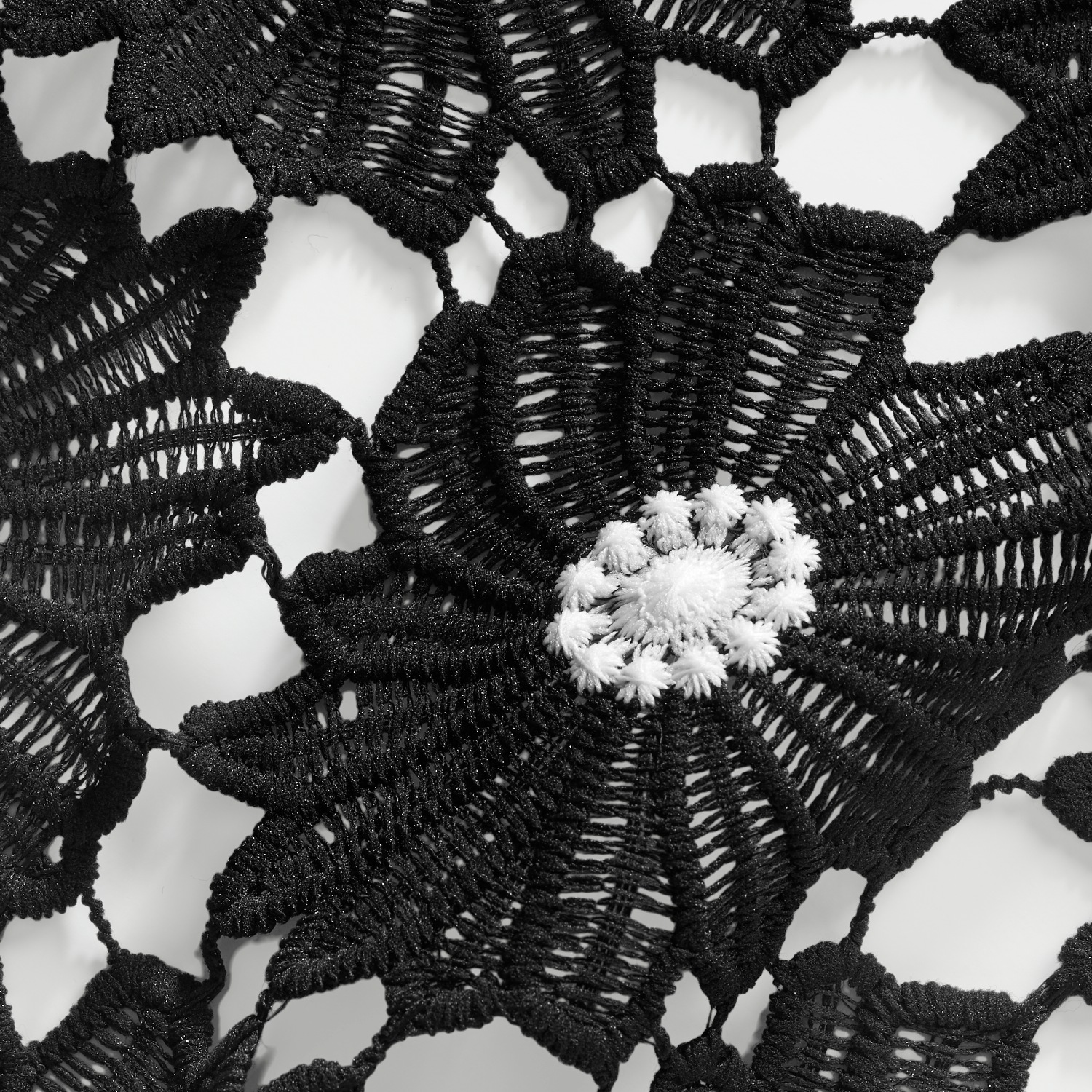 Floral Pattern Lace Top Midnight Velvet