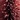Set of 3 Ombre Bottlebrush Trees, Red, swatch