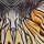 Monarch Print