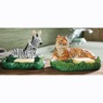 Global Soap Dish, , large