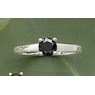 Black Diamond Ring, , large