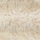 Ivory Gold