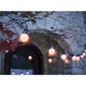 25' Solar String Lights, , large